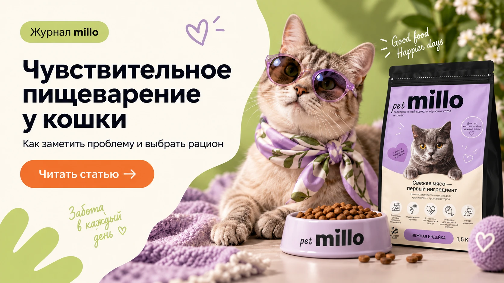 Обложка статьи «Чувствительное пищеварение у кошки: как отличить реакцию на рацион от повода для обследования» — журнал millo