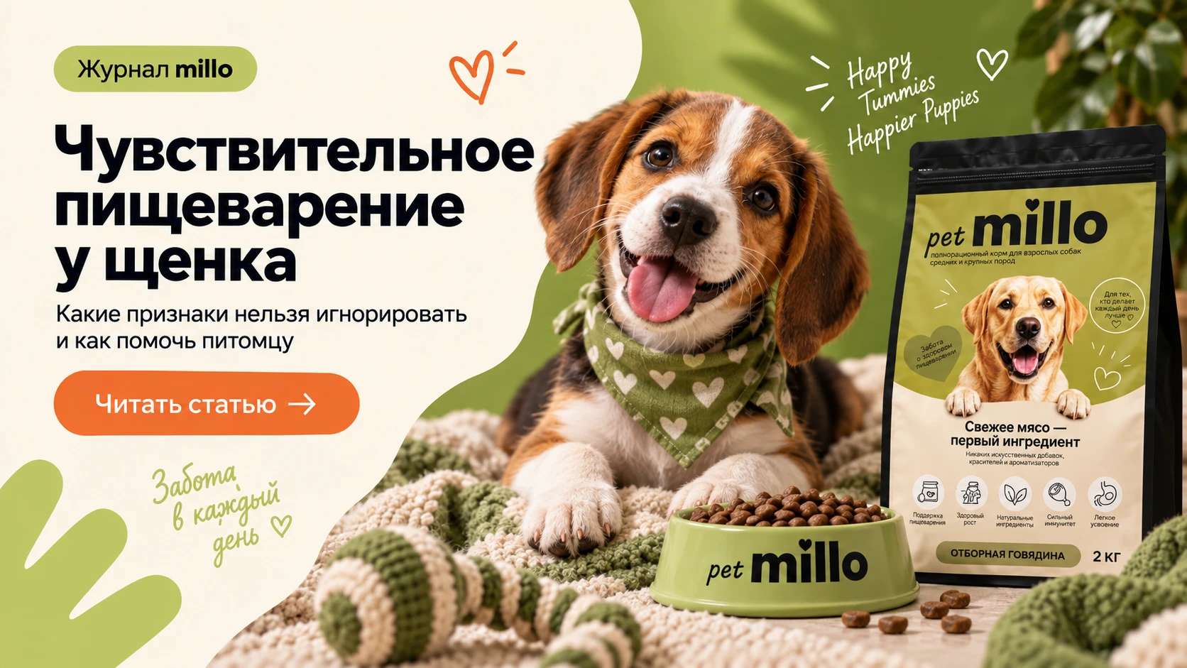 Обложка статьи «Чувствительное пищеварение у щенка: какие признаки нельзя игнорировать» — журнал millo