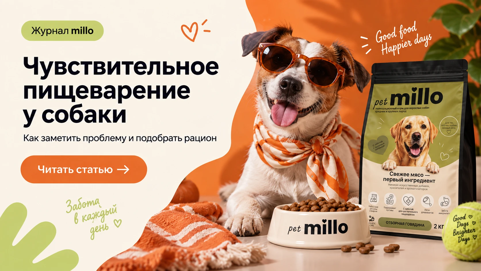 Обложка статьи «Чувствительное пищеварение у собаки: как заметить проблему и подобрать рацион» — журнал millo