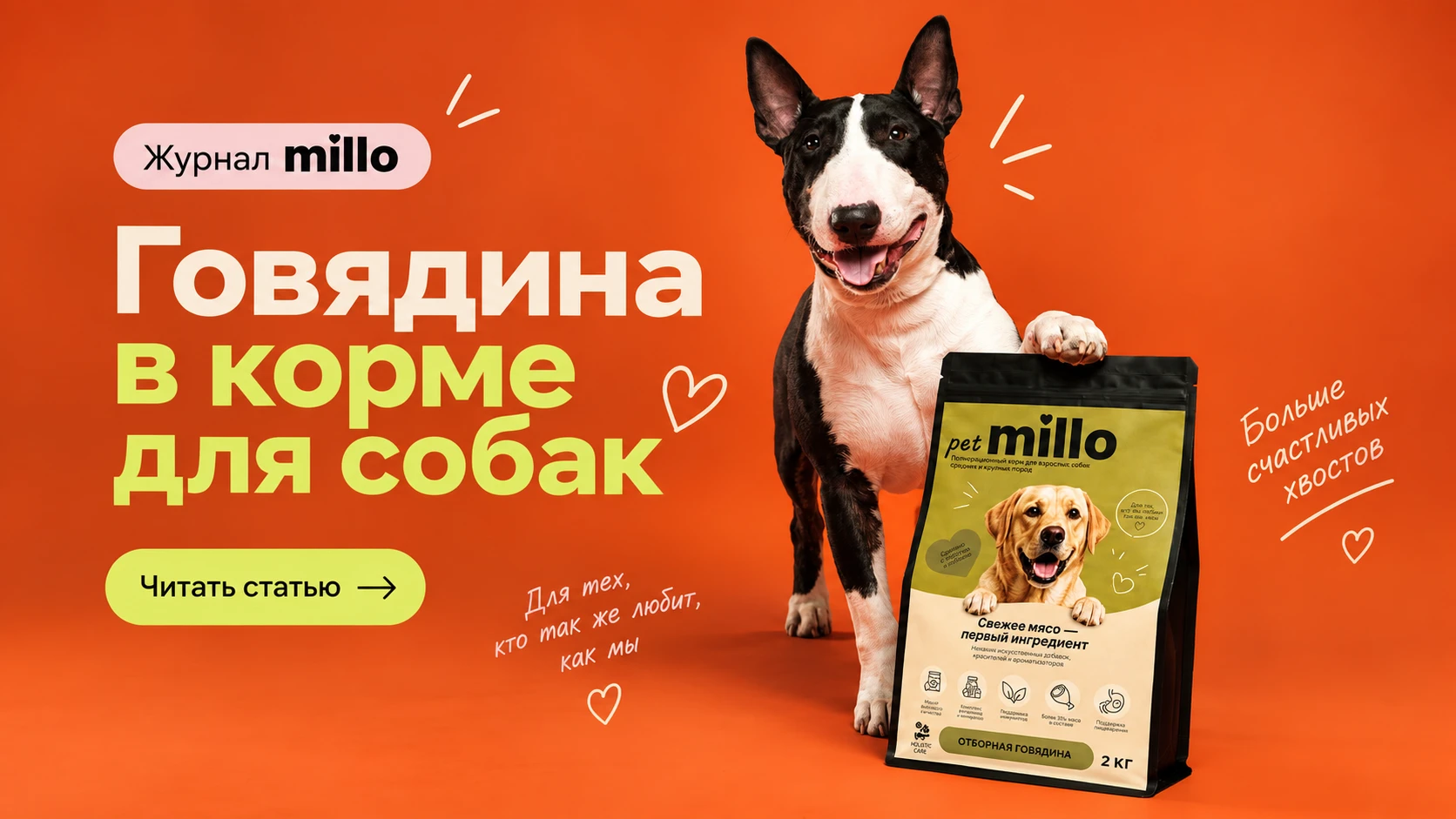 Обложка статьи «Говядина в корме для собак: источник белка, вкус и правила выбора рациона» — журнал millo