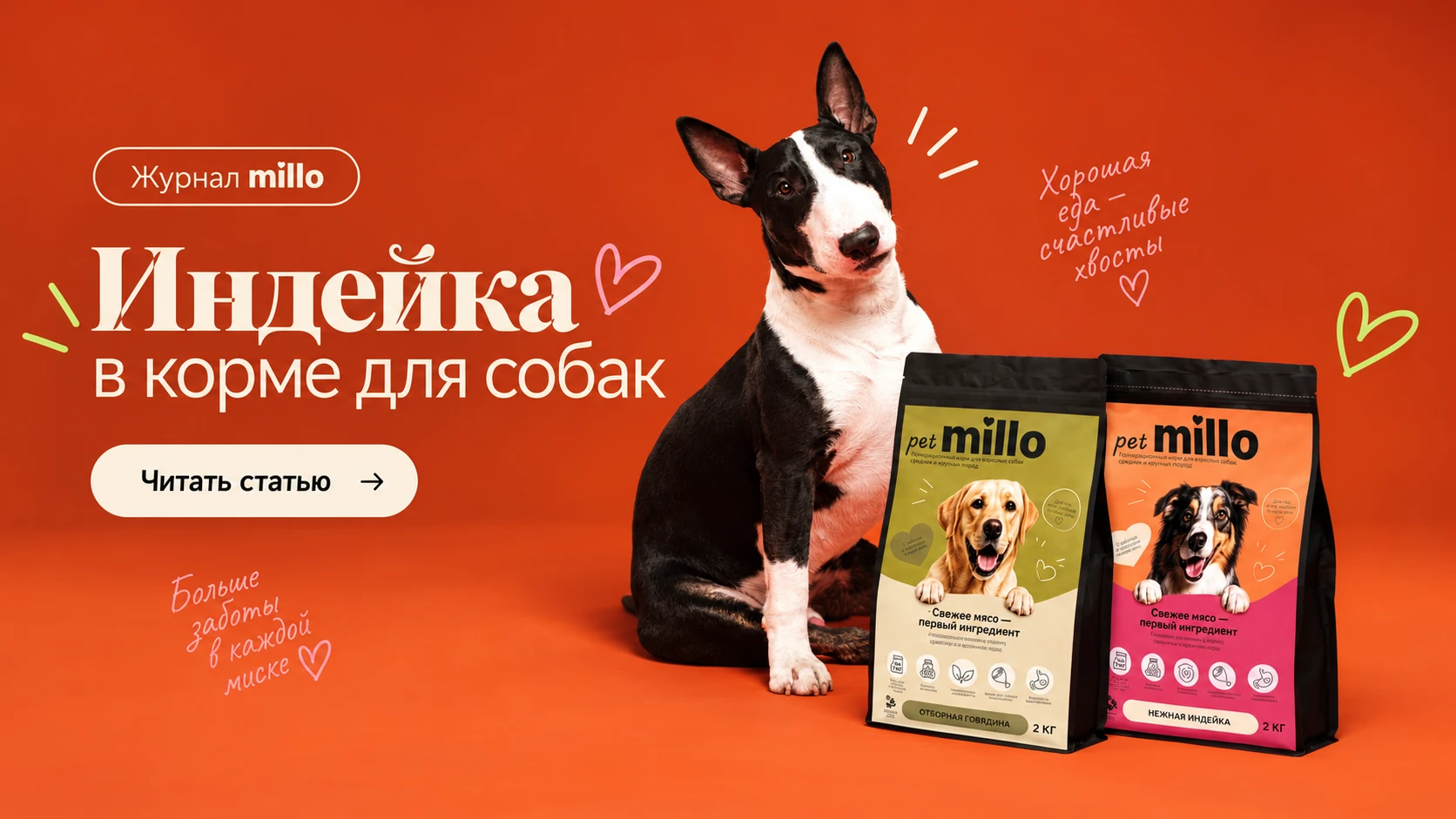 Обложка статьи «Индейка в корме для собак: чем хорош этот источник белка и кому он подходит» — журнал millo