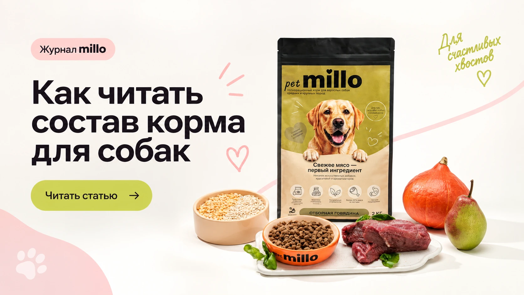Обложка статьи «Как читать состав корма для собак: разбираем этикетку на примере реальной рецептуры» — журнал millo