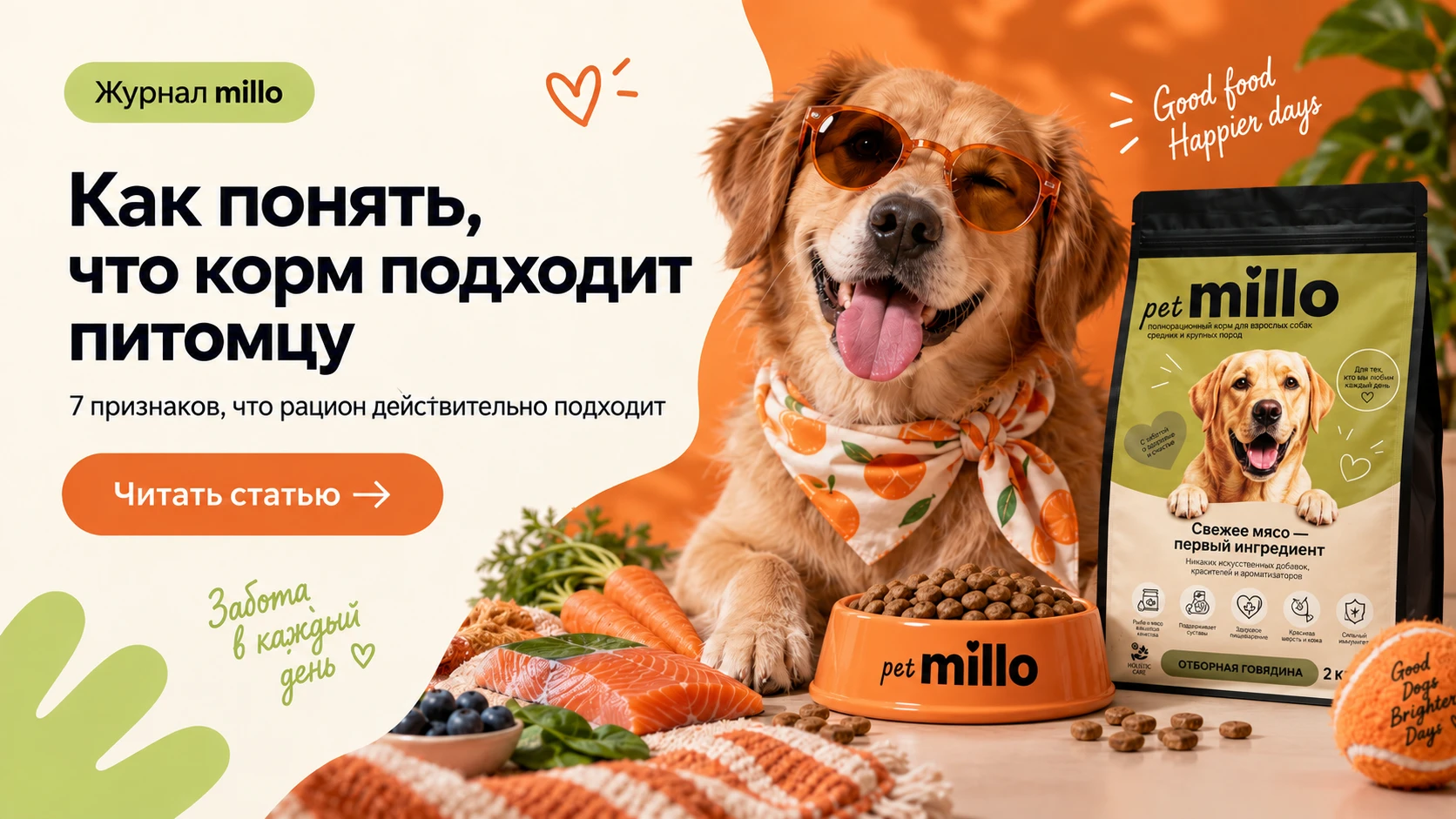 Обложка статьи «Как понять, что корм подходит питомцу: 7 признаков хорошей переносимости» — журнал millo