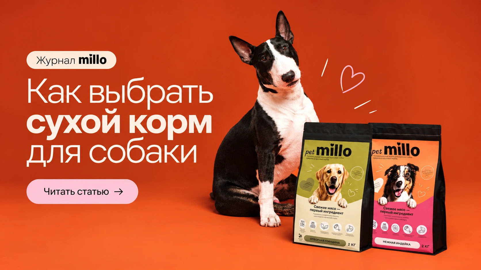 Обложка статьи «Как выбрать сухой корм для собаки: 7 критериев, которые важнее рекламы» — журнал millo
