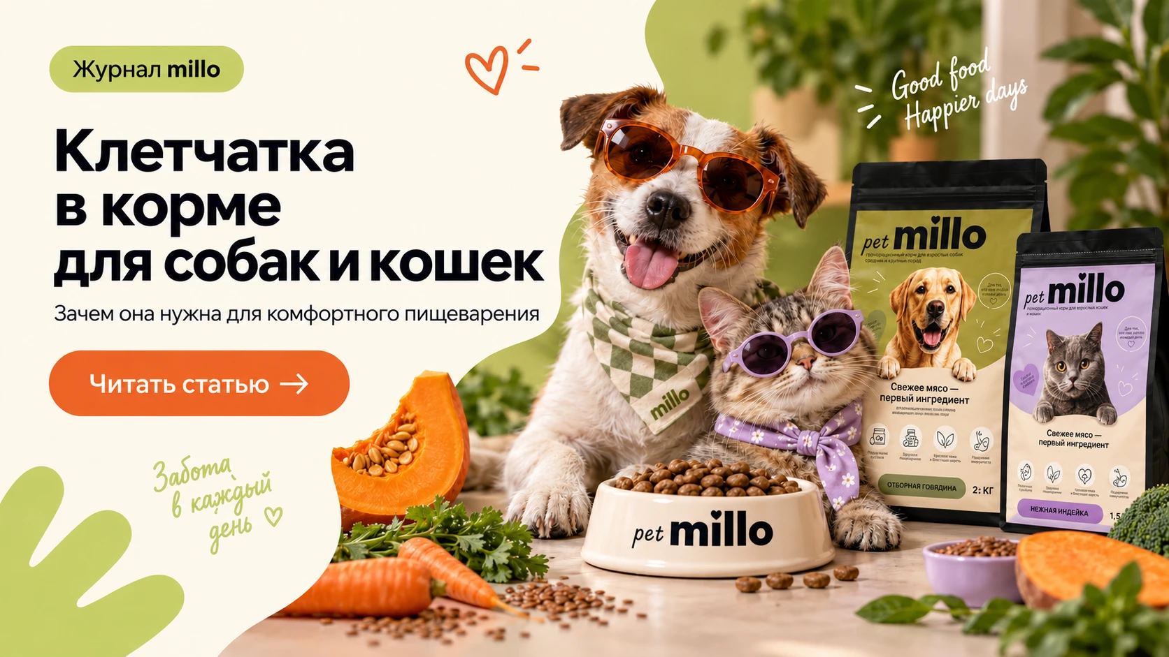 Обложка статьи «Клетчатка в корме для собак и кошек: зачем она нужна пищеварению и почему больше — не значит лучше» — журнал millo