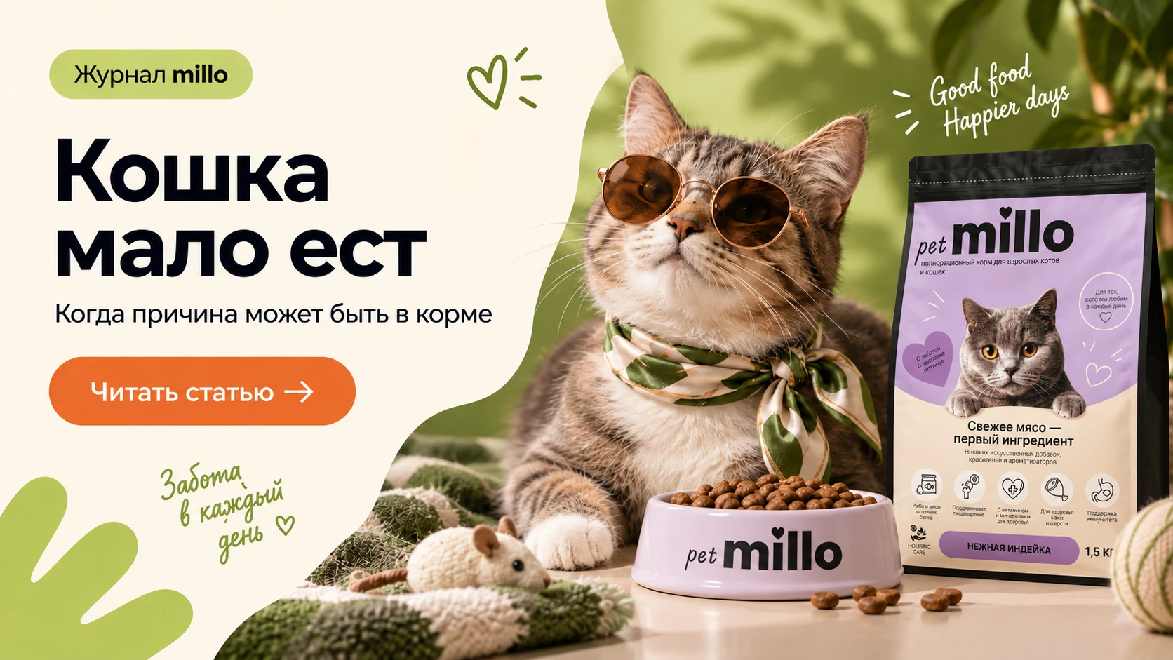 Обложка статьи «Кошка мало ест: когда это каприз, а когда опасный симптом» — журнал millo