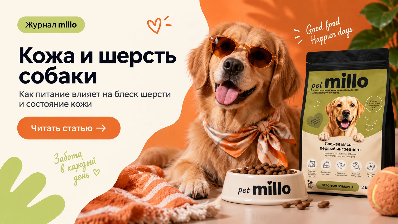 Обложка статьи «Кожа и шерсть собаки: как питание влияет на блеск, зуд и качество шерсти» — журнал millo