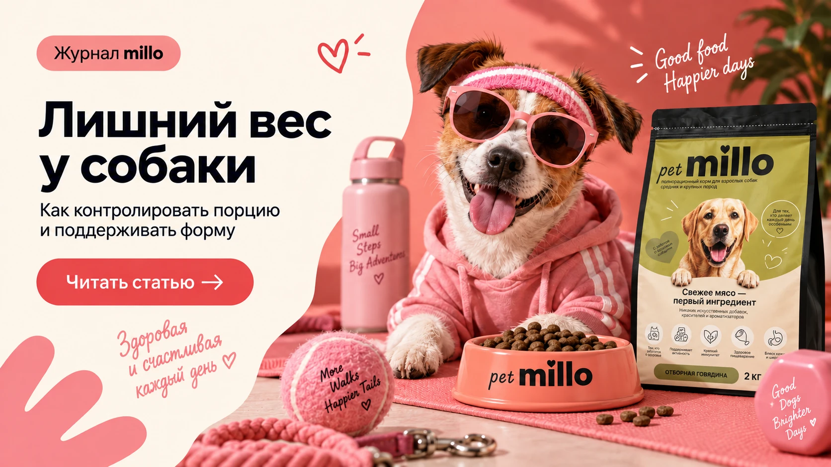 Обложка статьи «Лишний вес у собаки: как оценить кондицию, рассчитать порцию и выбрать рацион» — журнал millo