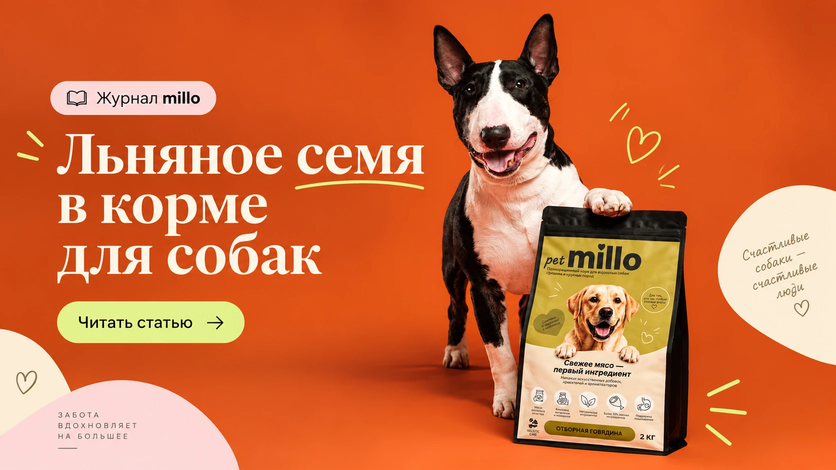 Обложка статьи «Льняное семя в корме для собак: зачем его добавляют и чего от него не ждать» — журнал millo
