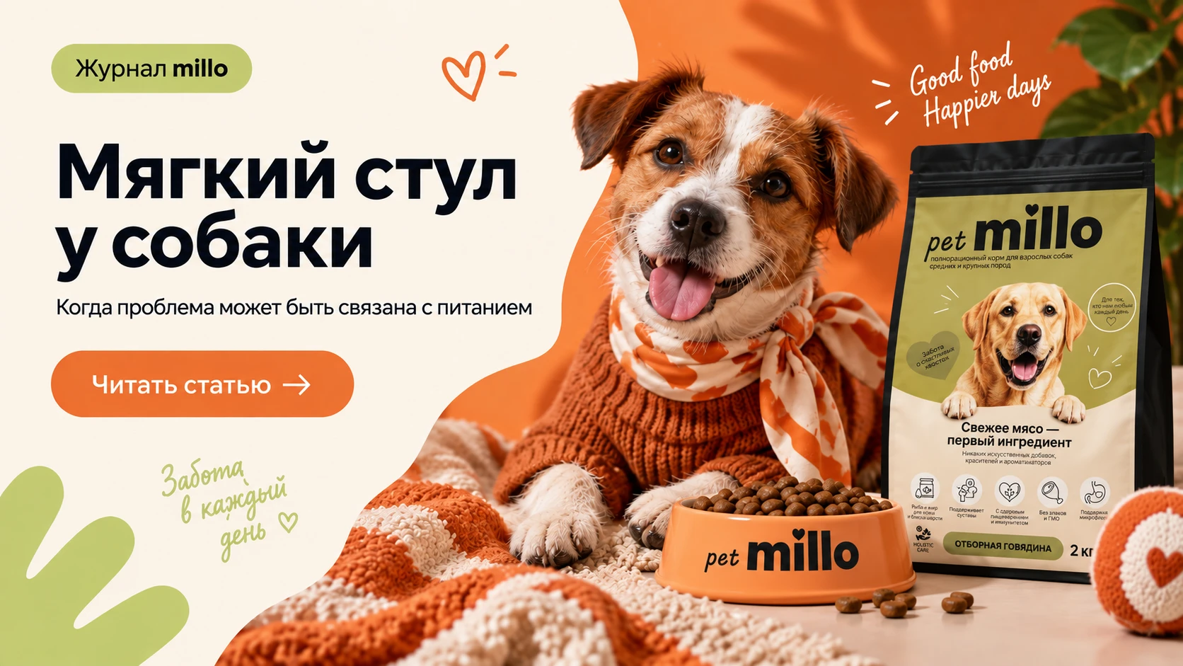 Обложка статьи «Мягкий стул у собаки: когда виновато питание и что проверить прежде, чем менять корм» — журнал millo
