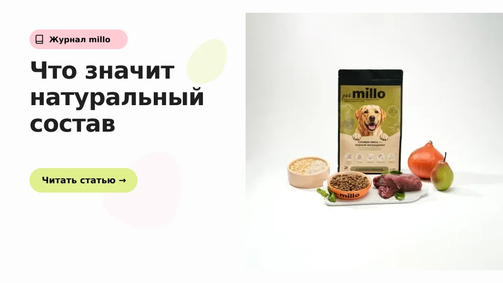 Обложка статьи ««Натуральный состав» корма: что это реально значит и как проверить продукт без веры в рекламу» — журнал millo
