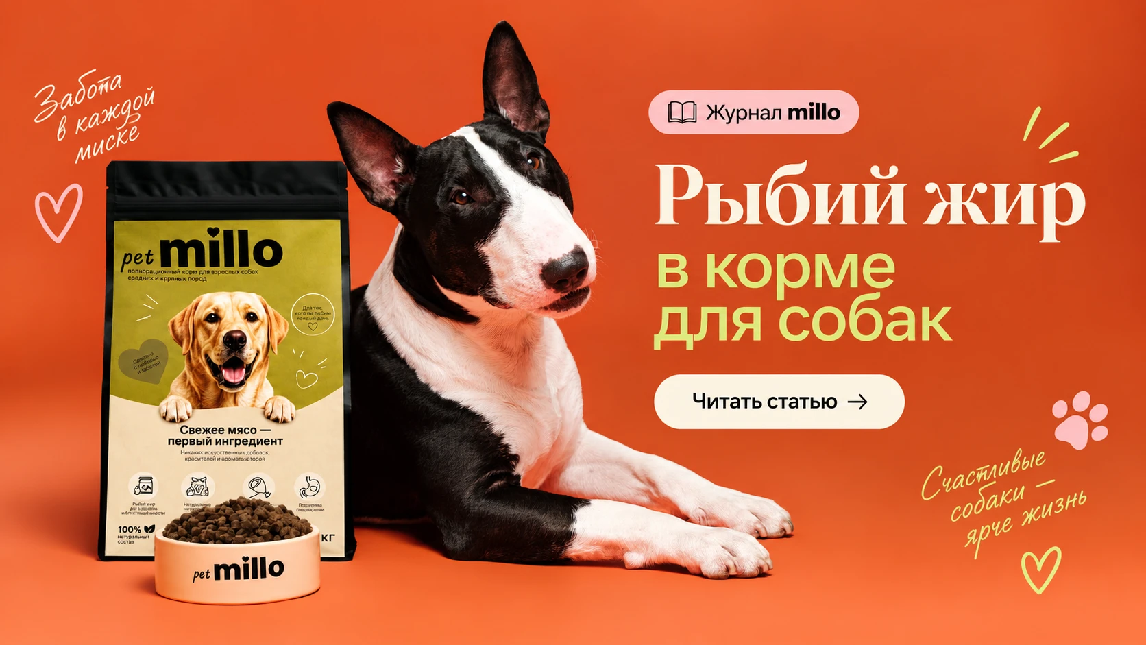 Обложка статьи «Рыбий жир в корме для собак: зачем он нужен коже, шерсти и рациону» — журнал millo