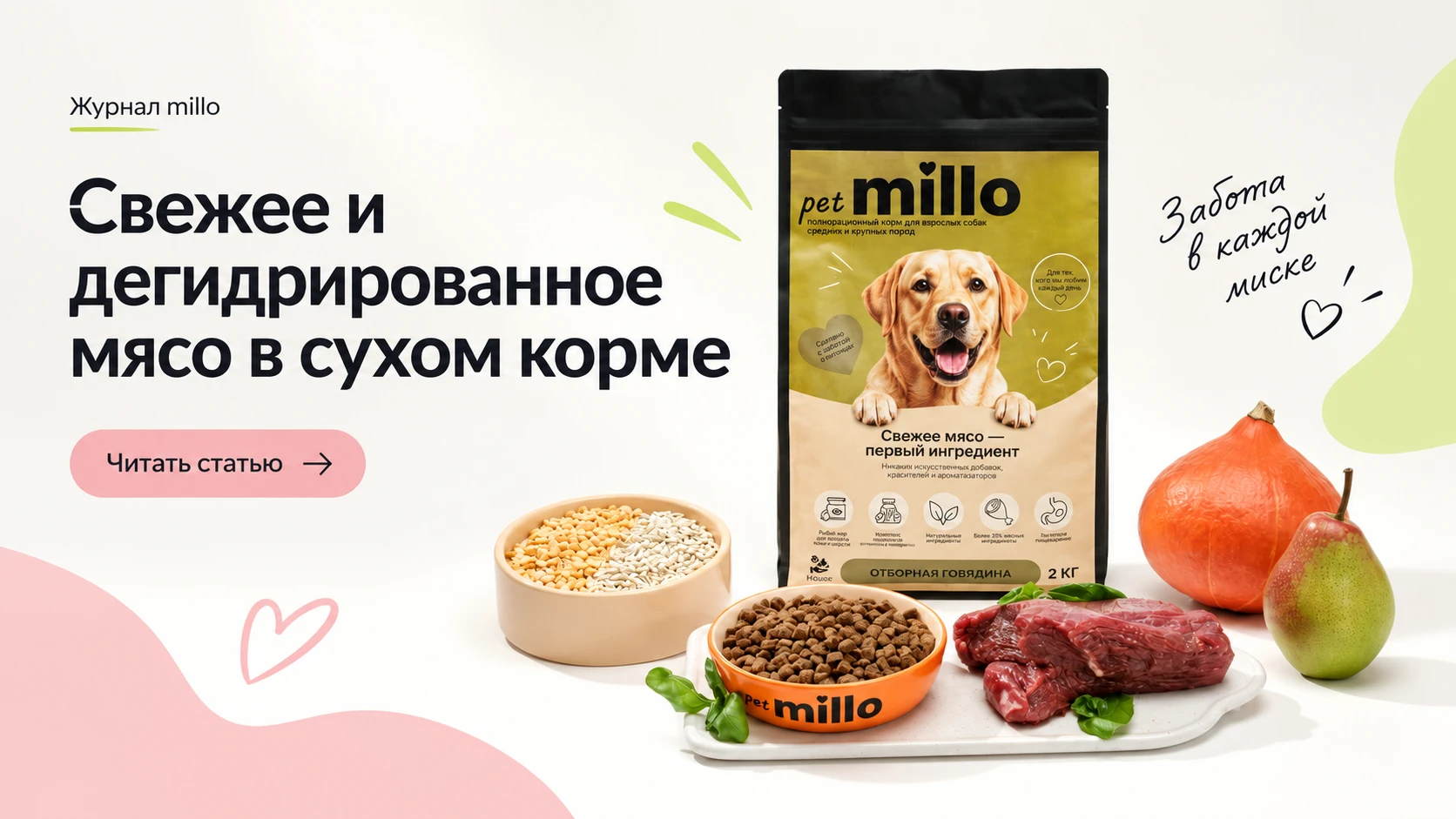 Обложка статьи «Свежее и дегидрированное мясо в сухом корме: в чём разница на самом деле» — журнал millo