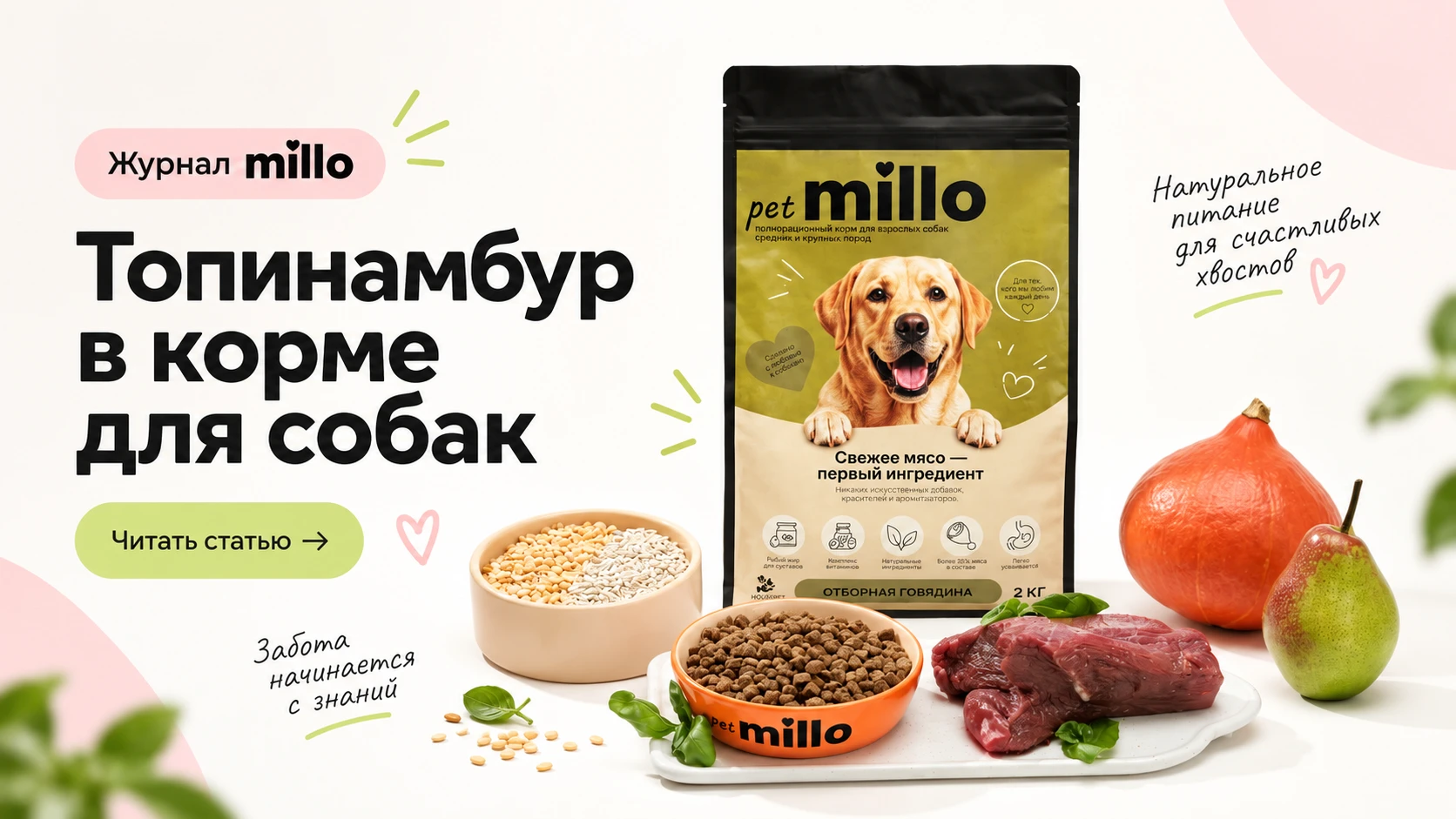 Обложка статьи «Топинамбур в корме для собак: пребиотики, инулин и микрофлора без мифов» — журнал millo
