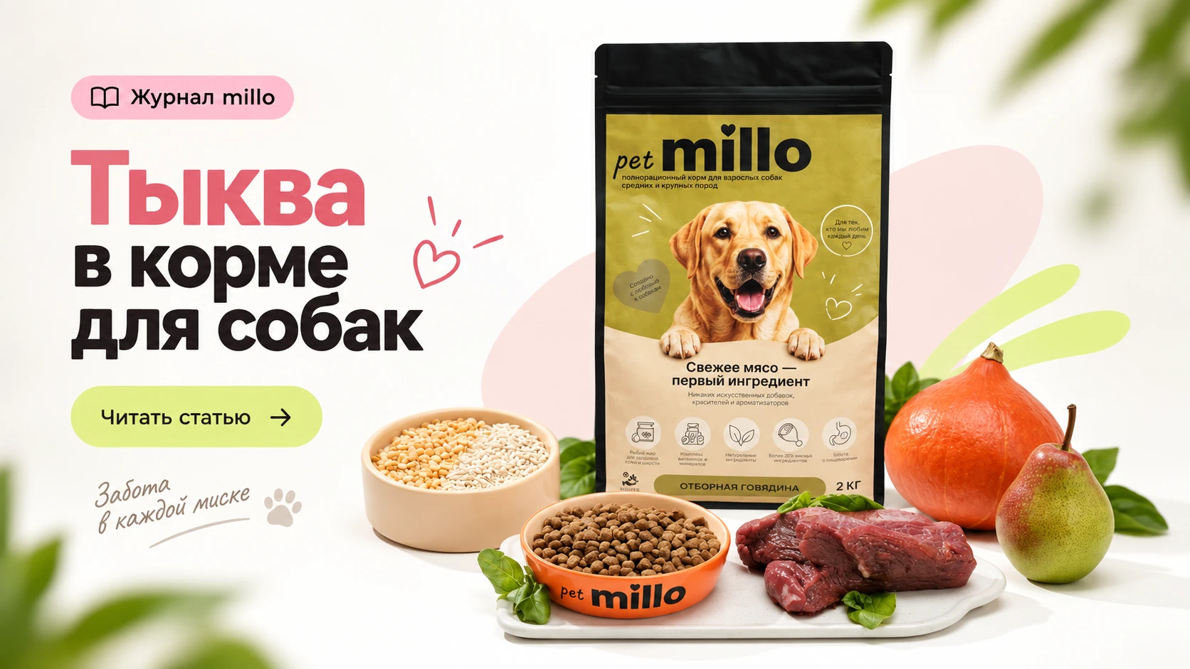 Обложка статьи «Тыква в корме для собак: клетчатка, пищеварение и реальная роль ингредиента» — журнал millo